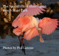The Spoonbills of Huntington Beach State Park Photos by Phil Lanoue book cover