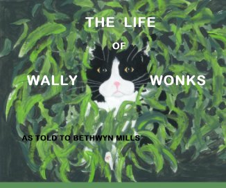 THE LIFE OF WALLY WONKS book cover