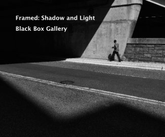 Framed: Shadow and Light book cover