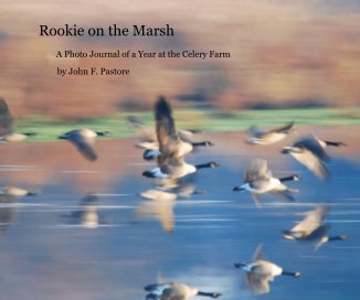 Rookie on the Marsh book cover