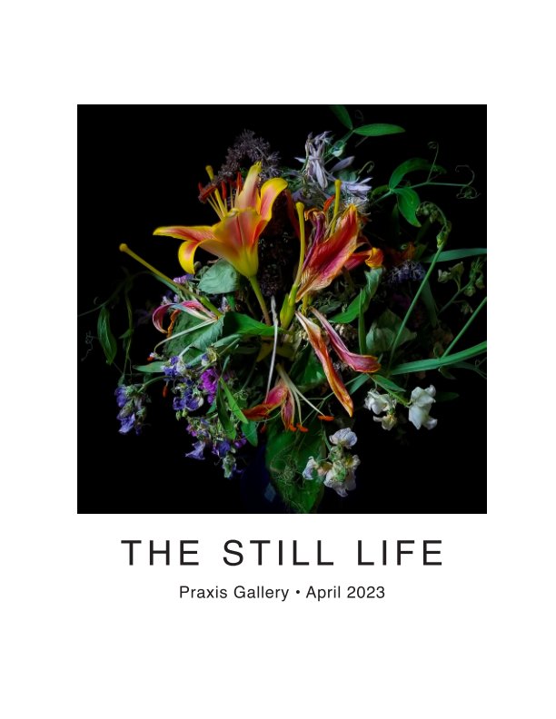 Visualizza The Still Life - 2023 di Praxis Gallery