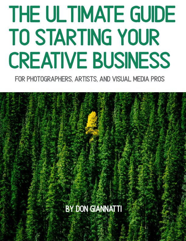 View The Ultimate Guide to Starting Your Creative Business by Don Giannatti