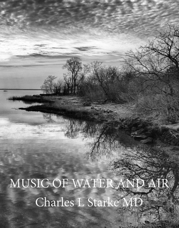 Visualizza Music of Water and Air di Charles L Starke MD