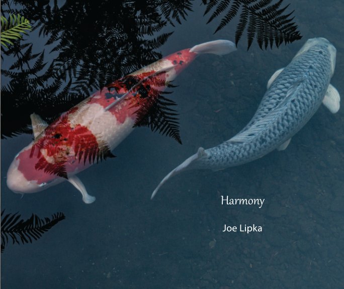 Visualizza Harmony di Joe Lipka