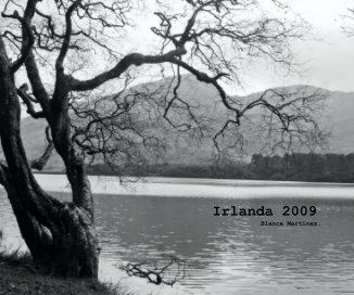 Irlanda 2009 Blanca MartÃ­nez. book cover