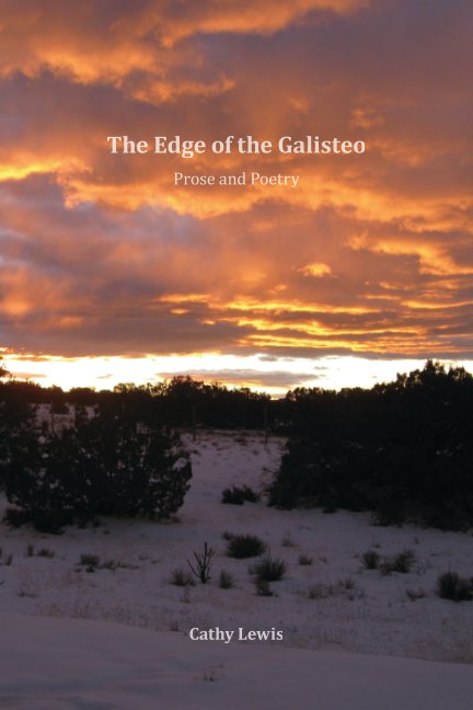 View The Edge of the Galisteo by Cathy Lewis