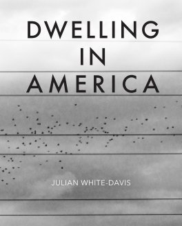 Dwelling in America book cover