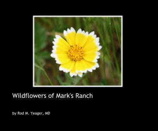 Wildflowers of Mark's Ranch book cover