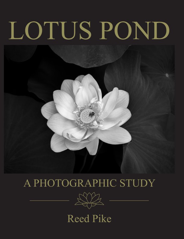 View Lotus Pond - A Photographic Study by Reed Pike