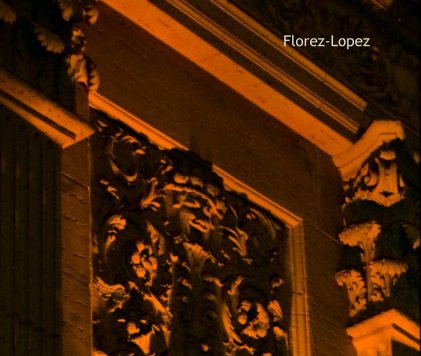 Florez-Lopez book cover