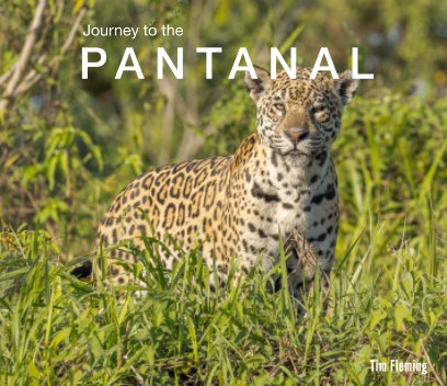 Journey to the Pantanal book cover