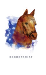 Secretariat Doodlebook book cover