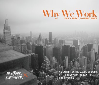 Why We Work book cover