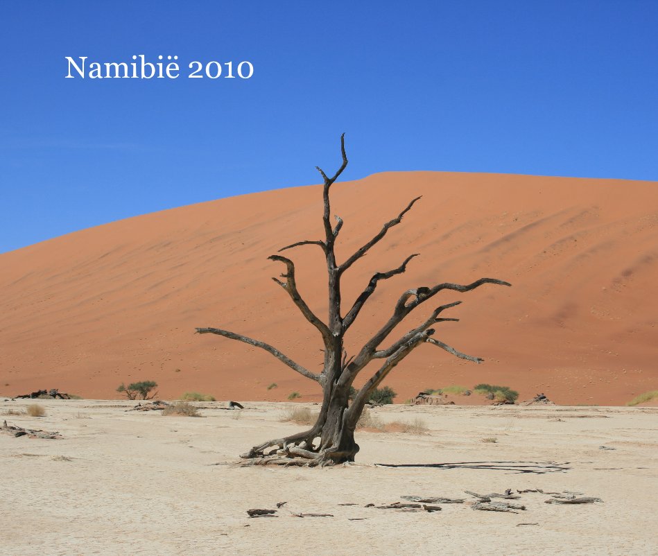 Visualizza NamibiÃ« 2010 di Thies