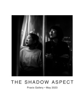 The Shadow Aspect 2023 book cover