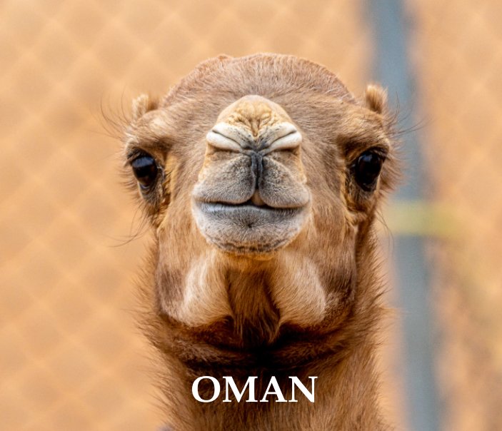 View Oman by B. Arrigler