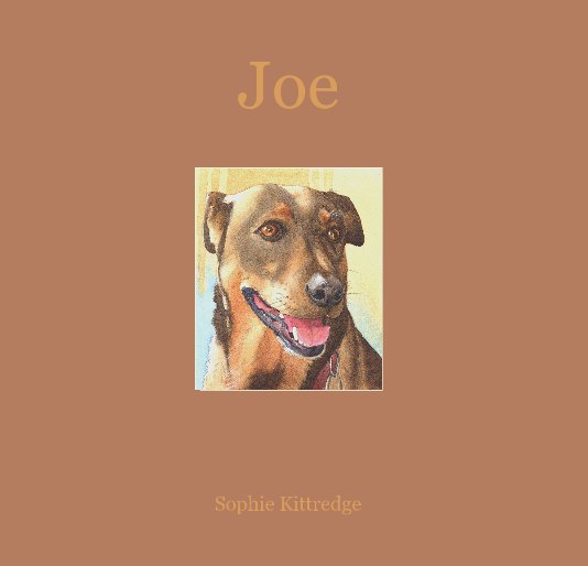 View Joe by Sophie Kittredge