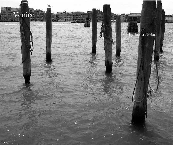 View Venice by Liam Nolan