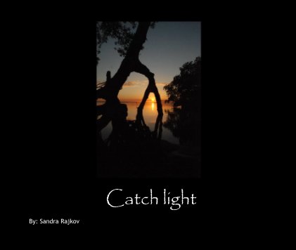 Catch light book cover