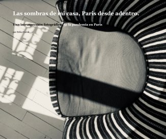 Las sombras de mi casa, Paris desde adentro. book cover