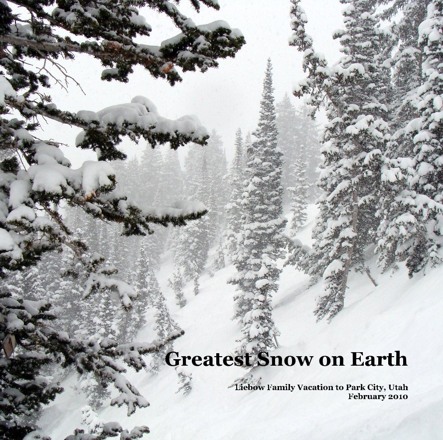 View Greatest Snow on Earth by Michael Liebow
