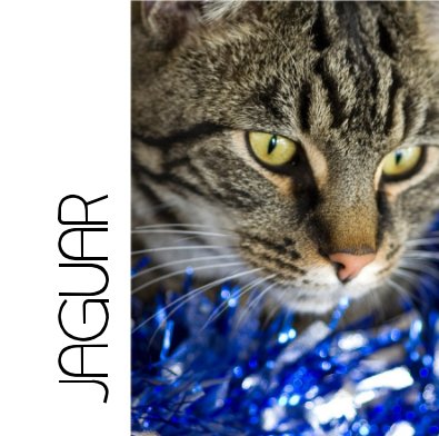 JAGUAR book cover