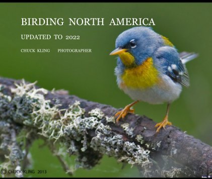 Birding North America Updated To 2022 book cover