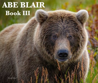 Abe Blair Book III book cover