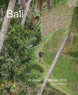 Bali book cover