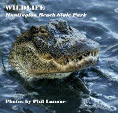 WILDLIFE Huntington Beach State Park book cover