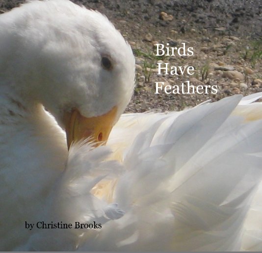 View Birds Have Feathers by Christine Brooks