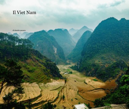 Il Viet Nam book cover