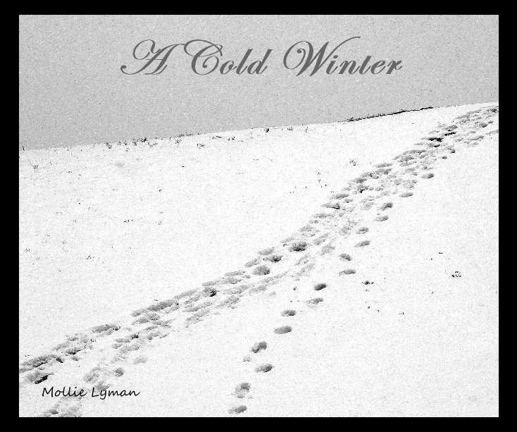 View A Cold Winter by Mollie Lyman