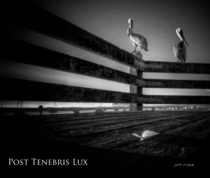 Post Tenebris Lux book cover