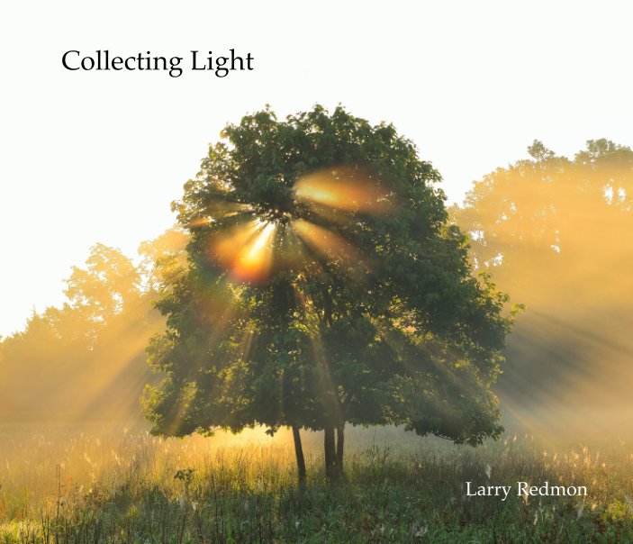View Collecting Light by Larry Redmon