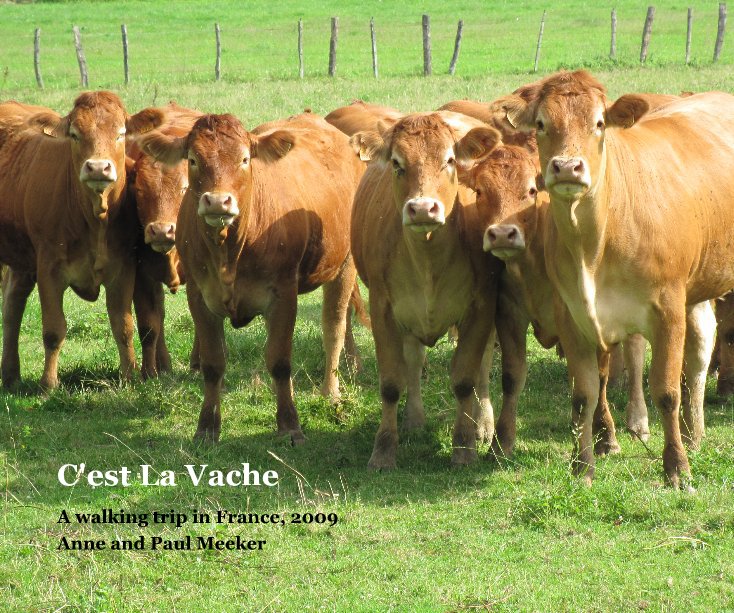 View C'est La Vache by Anne and Paul Meeker