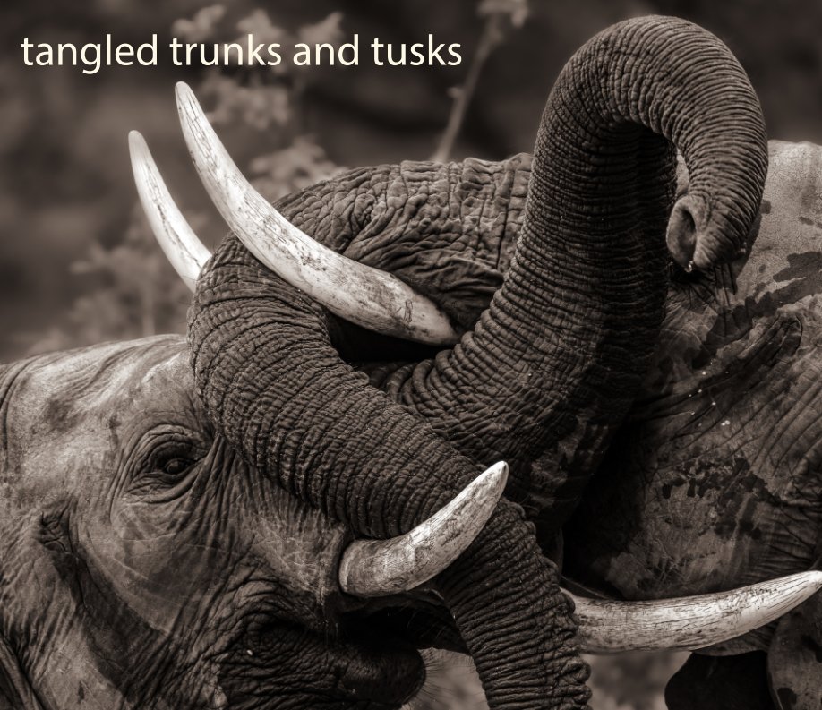 Visualizza tangled trunks and tusks di elaine blatt