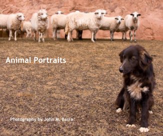 Animal Portraits book cover