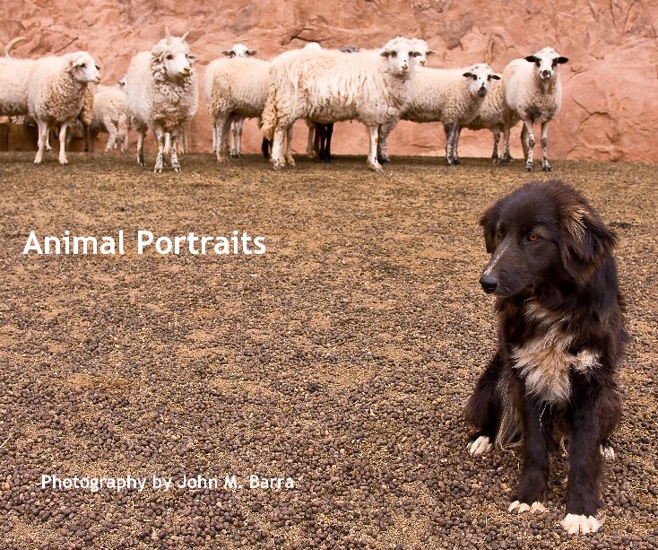 View Animal Portraits by John M. Barra