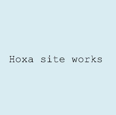 Hoxa site works book cover