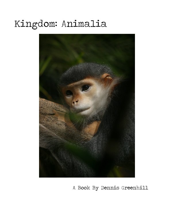 View Kingdom: Animalia by A Book By Dennis Greenhill