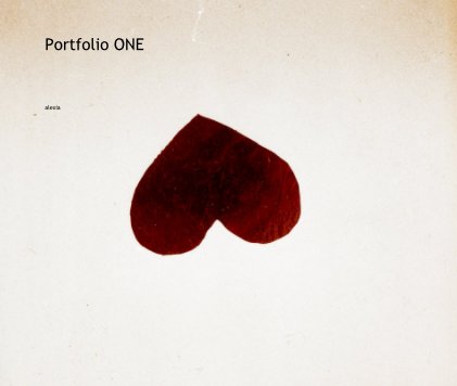 Portfolio ONE book cover