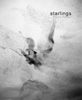 Starlings book cover