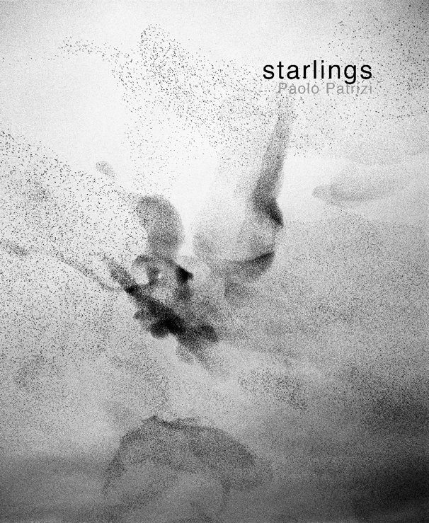 View Starlings by Paolo Patrizi