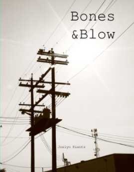 Bones &  Blows book cover