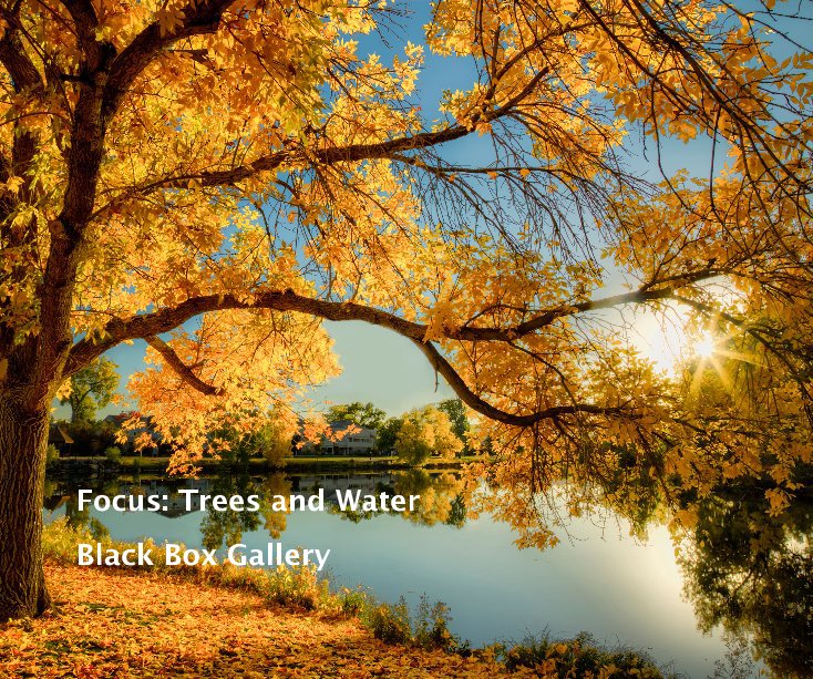 Focus: Trees and Water by Black Box Gallery
