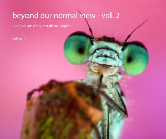 beyond our normal view - vol. 2 book cover