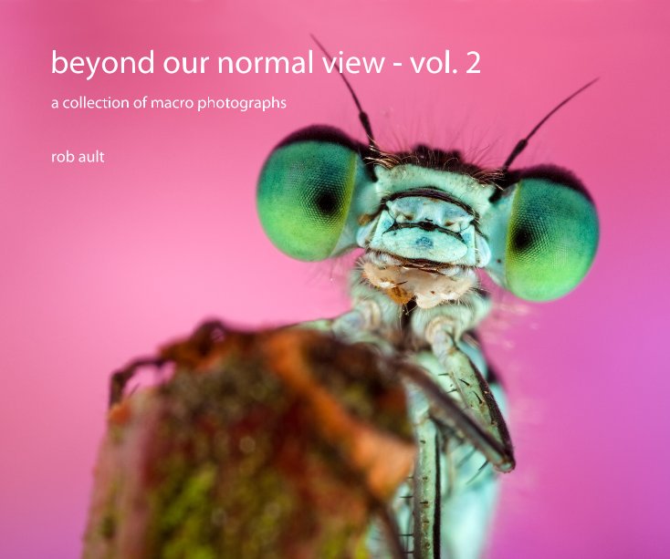 Ver beyond our normal view - vol. 2 por rob ault