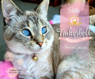 Princess Tinkerbell book cover