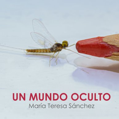 Un Mundo Oculto book cover